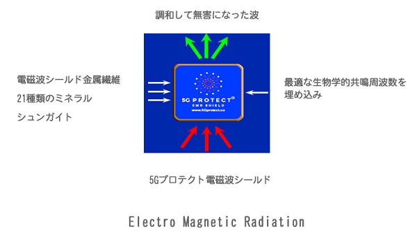5Gプロテクト仕組み