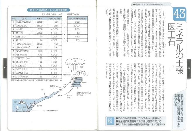 驚異の自然石と言われた薬石