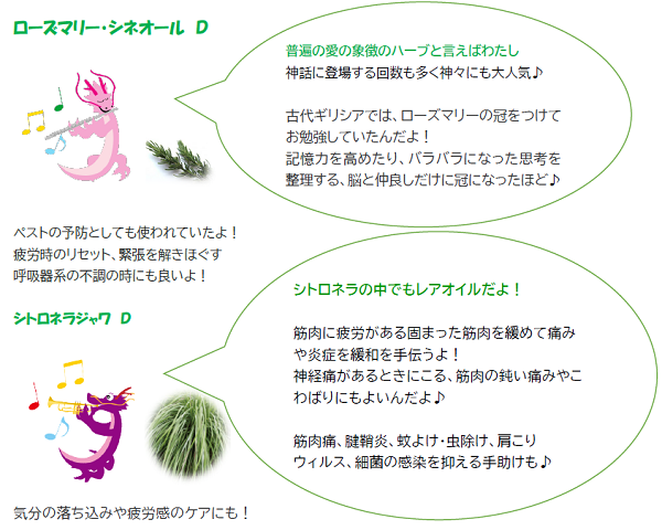 クールミントドラゴンCBD