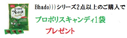 プロポリスキャンディプレゼント