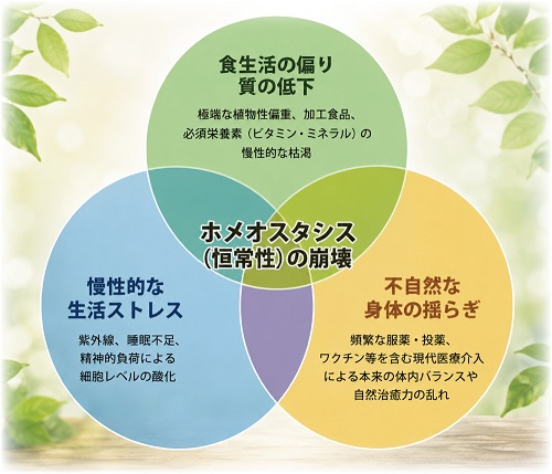 酵素乃泉ーイメージ
