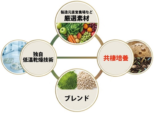 酵素乃泉ーイメージ