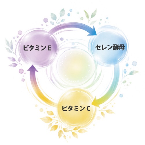 酵素乃泉ーイメージ