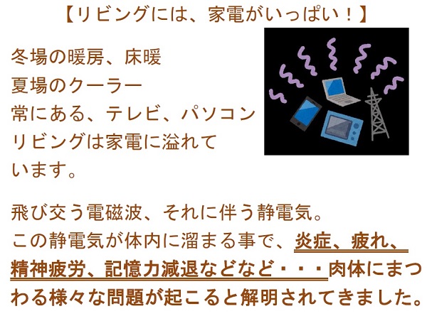 フォトニッククッションカバー