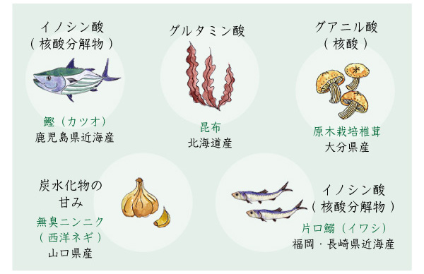 だし＆栄養スープ500g素材