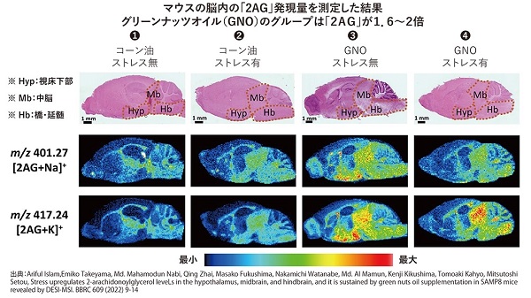 オーガニックインカグリーンナッツオイル 180ｇ