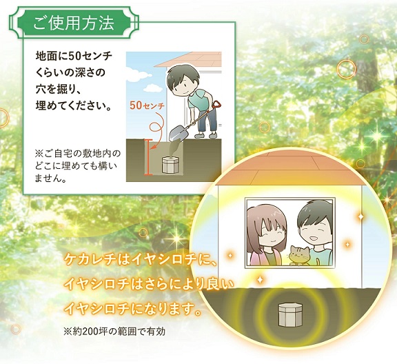 カタカムナ イヤシロ BOX 八角型桐箱