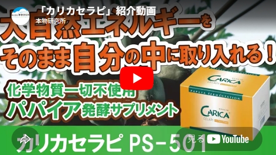 カリカセラピ-ユーチューブ