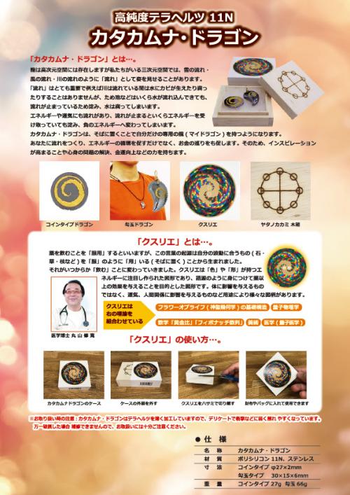 カタカムナ・ドラゴンパンフレット
