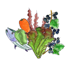 だし＆栄養スープ500g