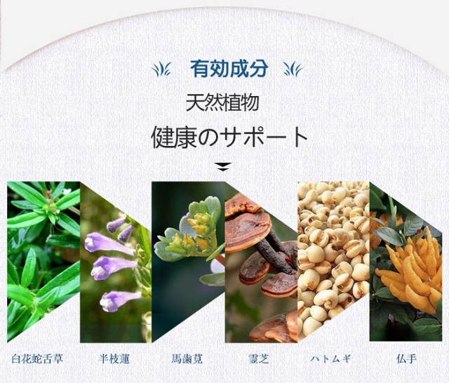 白花蛇舌草6種類の生薬