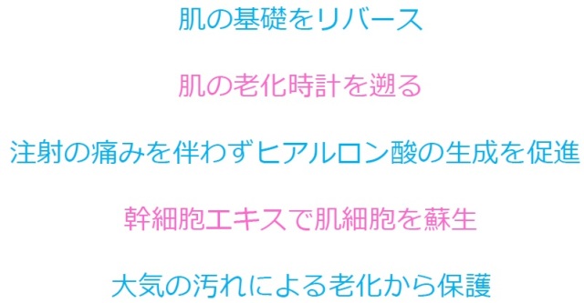 NEW白姫レディーレ46