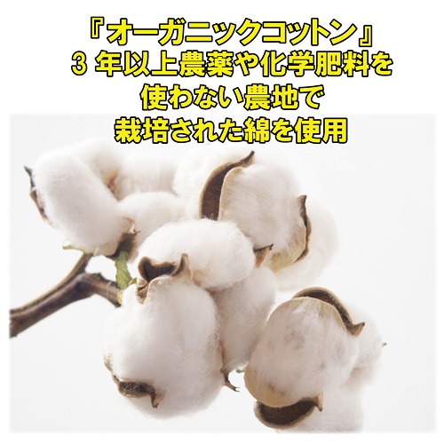 センタライズTシャツ-オーガニックコットン