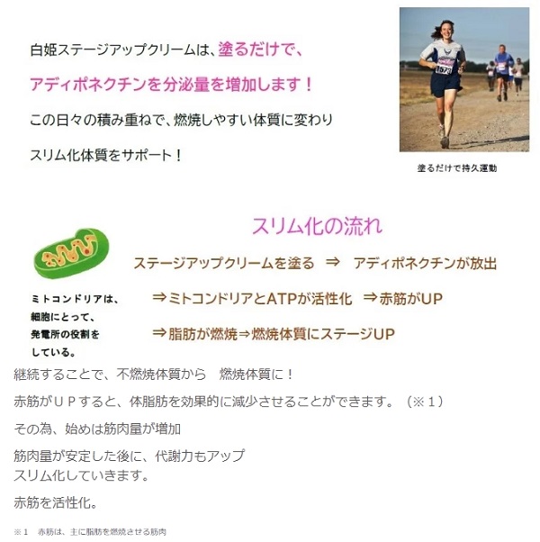NEWステージアップクリーム