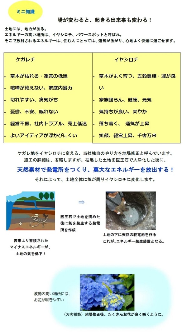 NEWステージアップクリーム