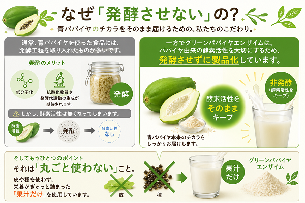 グリーンパパイヤエンザイム
