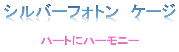 シルバーフトン・ケージ