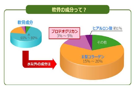 水溶性プロテオグリカン＊（北海道産原料）