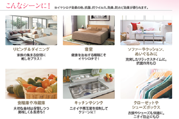 シングレース-使用例