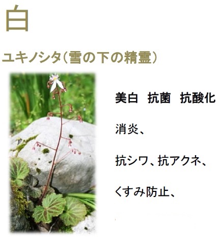 白