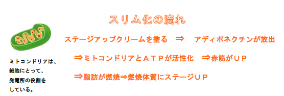 白姫ステージアップクリーム