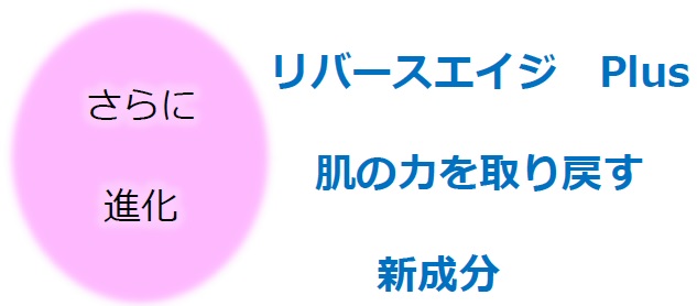 さらに進化