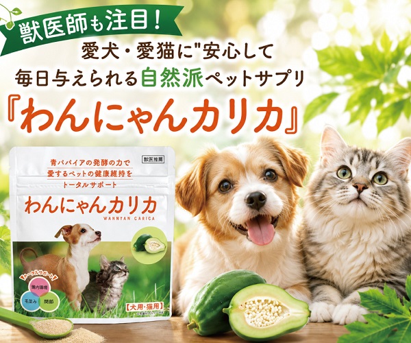 わんにゃんカリカーバナー
