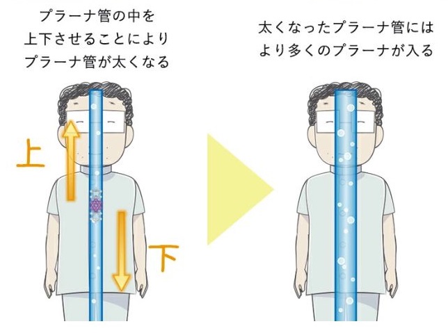 WDカバラ ネックレストップ チャーム