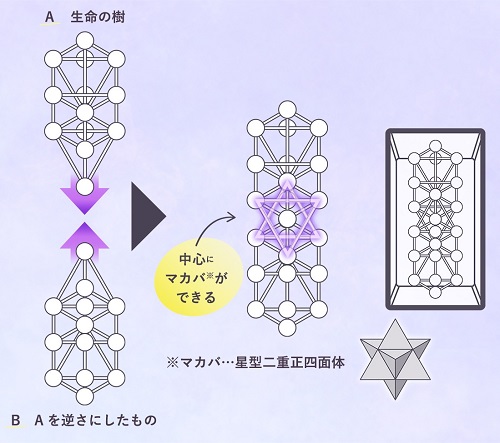 WDカバラ ネックレストップ チャーム